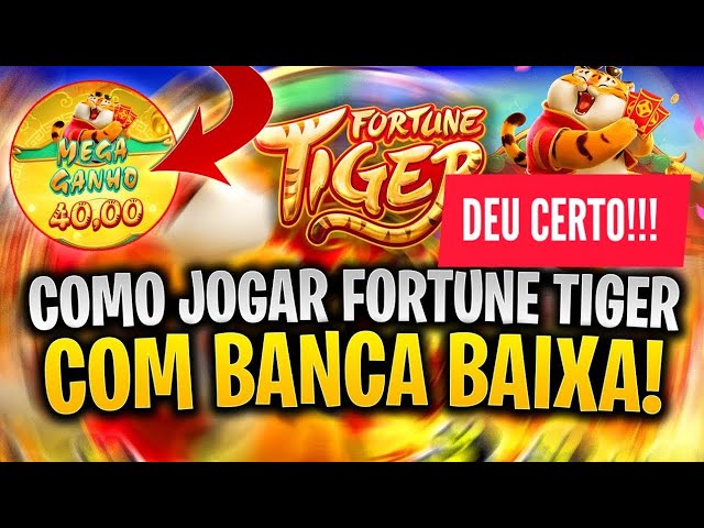 jogo aposta tigre imagem de tela 5